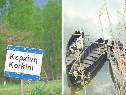 xarisis-35-528x396.jpg?v=undefined